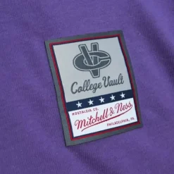 Apparel Mitchell & Ness T-Shirts & Tops-University Arch Logo Ls Tee Northwestern University