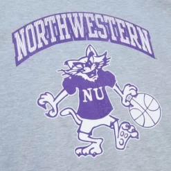 Apparel Mitchell & Ness T-Shirts & Tops-Vintage Arch Tee Northwestern University