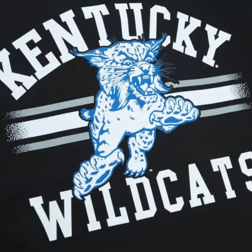 Apparel Mitchell & Ness Hoodies & Sweatshirts-Vintage Stripes Pullover University Of Kentucky