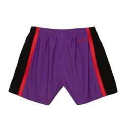 Apparel Mitchell & Ness Shorts-Women'S Big Face 3.0 Shorts Toronto Raptors