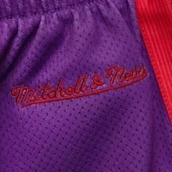 Apparel Mitchell & Ness Shorts-Women'S Big Face 3.0 Shorts Toronto Raptors
